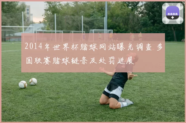 2014年世界杯赌球网站曝光调查 多国联赛赌球链条及处罚进展