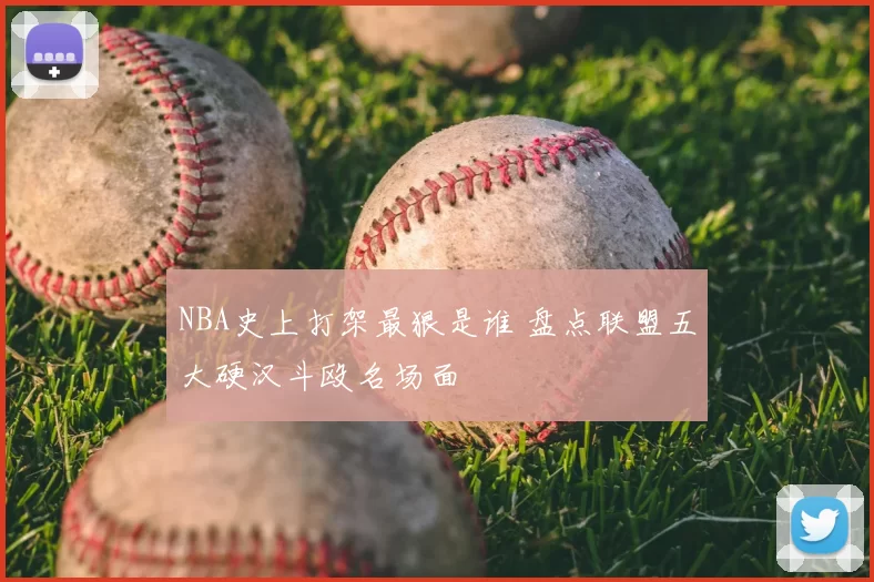 NBA史上打架最狠是谁 盘点联盟五大硬汉斗殴名场面