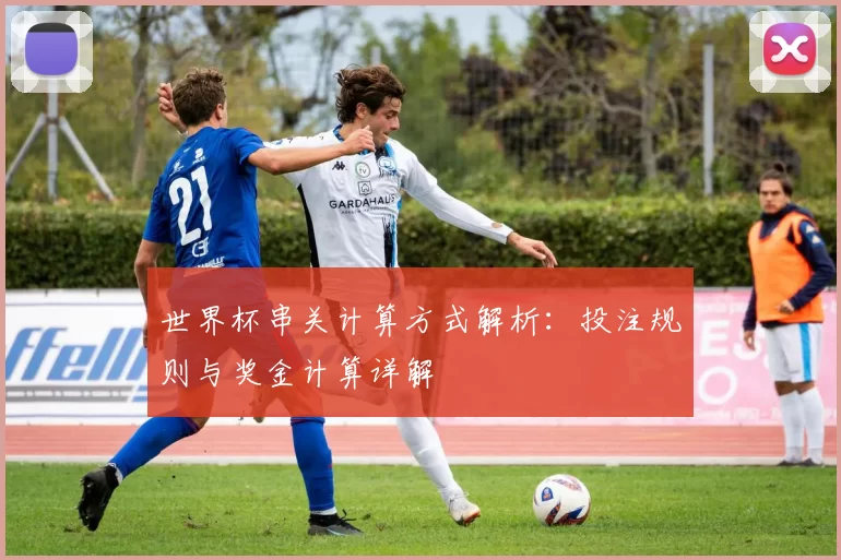 世界杯串关计算方式解析：投注规则与奖金计算详解