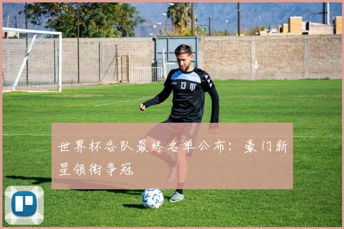 世界杯各队最终名单公布：豪门新星领衔争冠